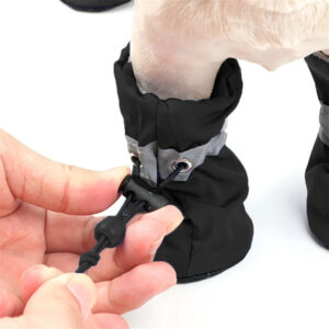 Paw Protector Rain Boots