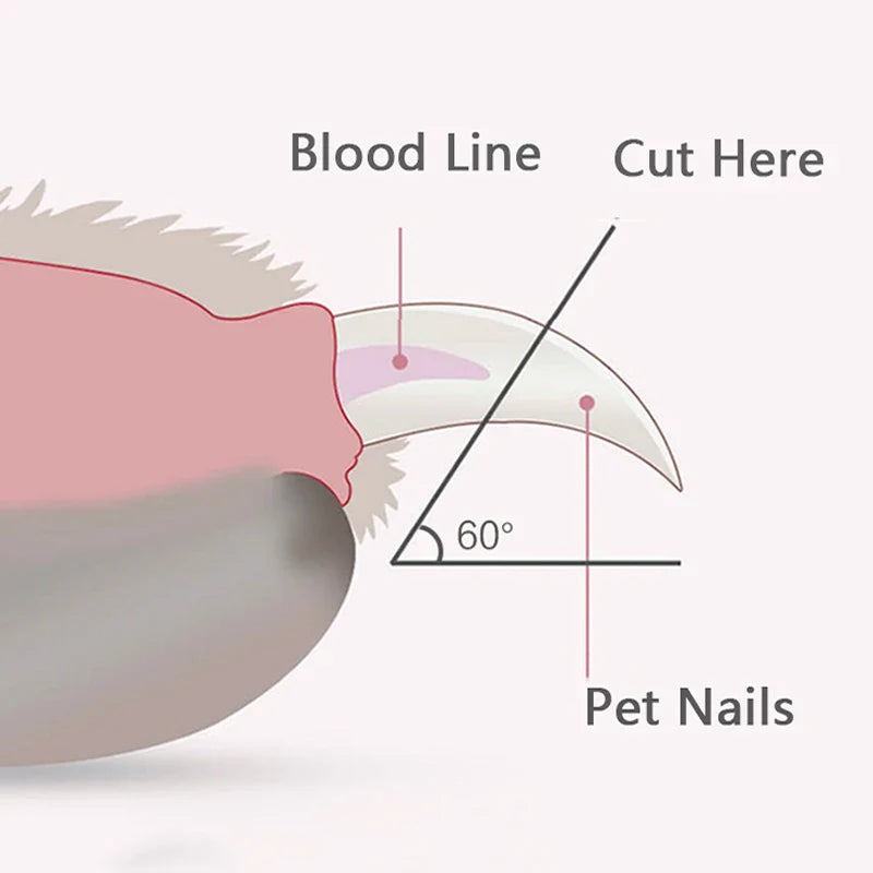 Bright Paw Pet Nail Trimmer - Image 5