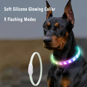 ShimmerSafe LED Dog Collar