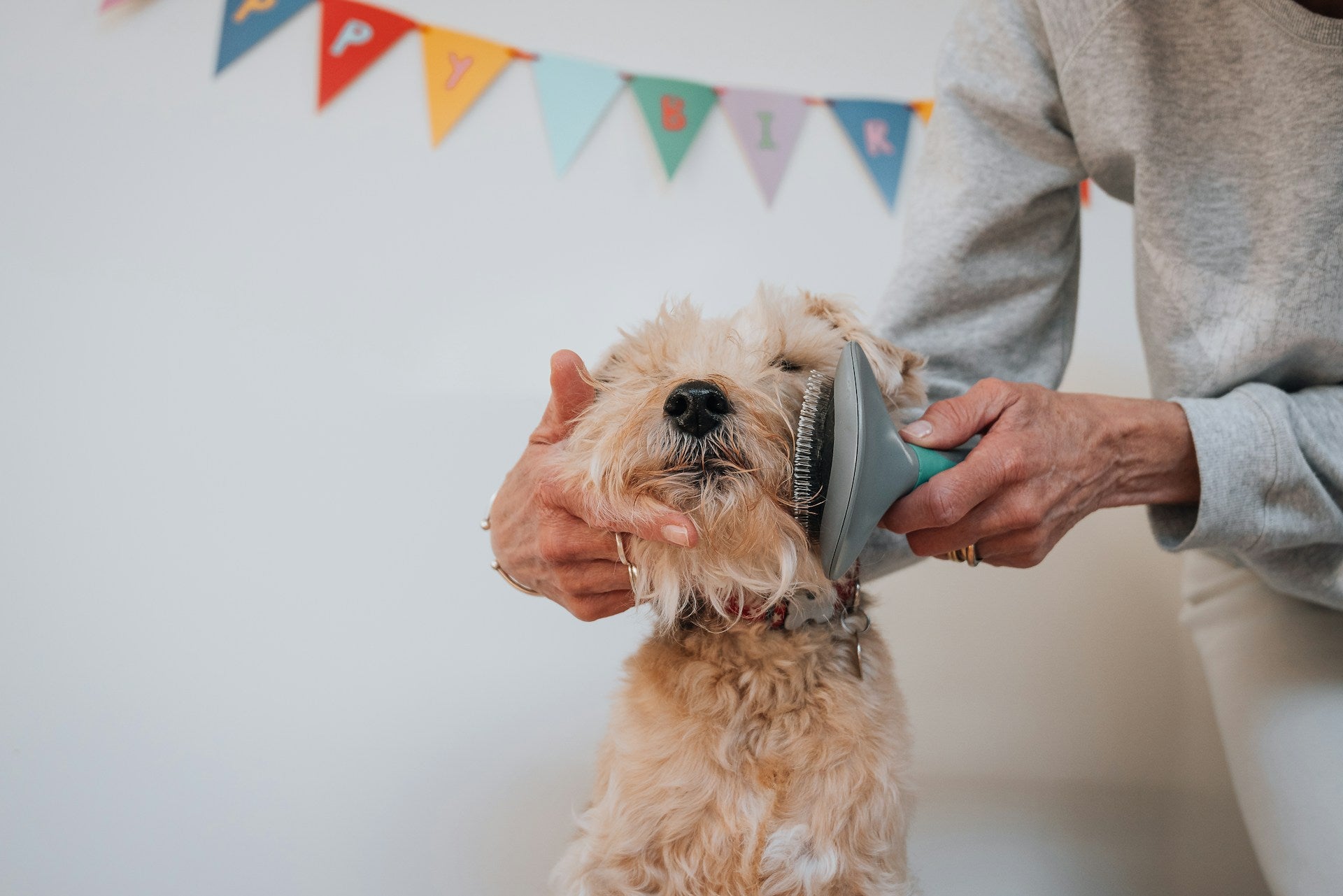 Grooming & Hygiene