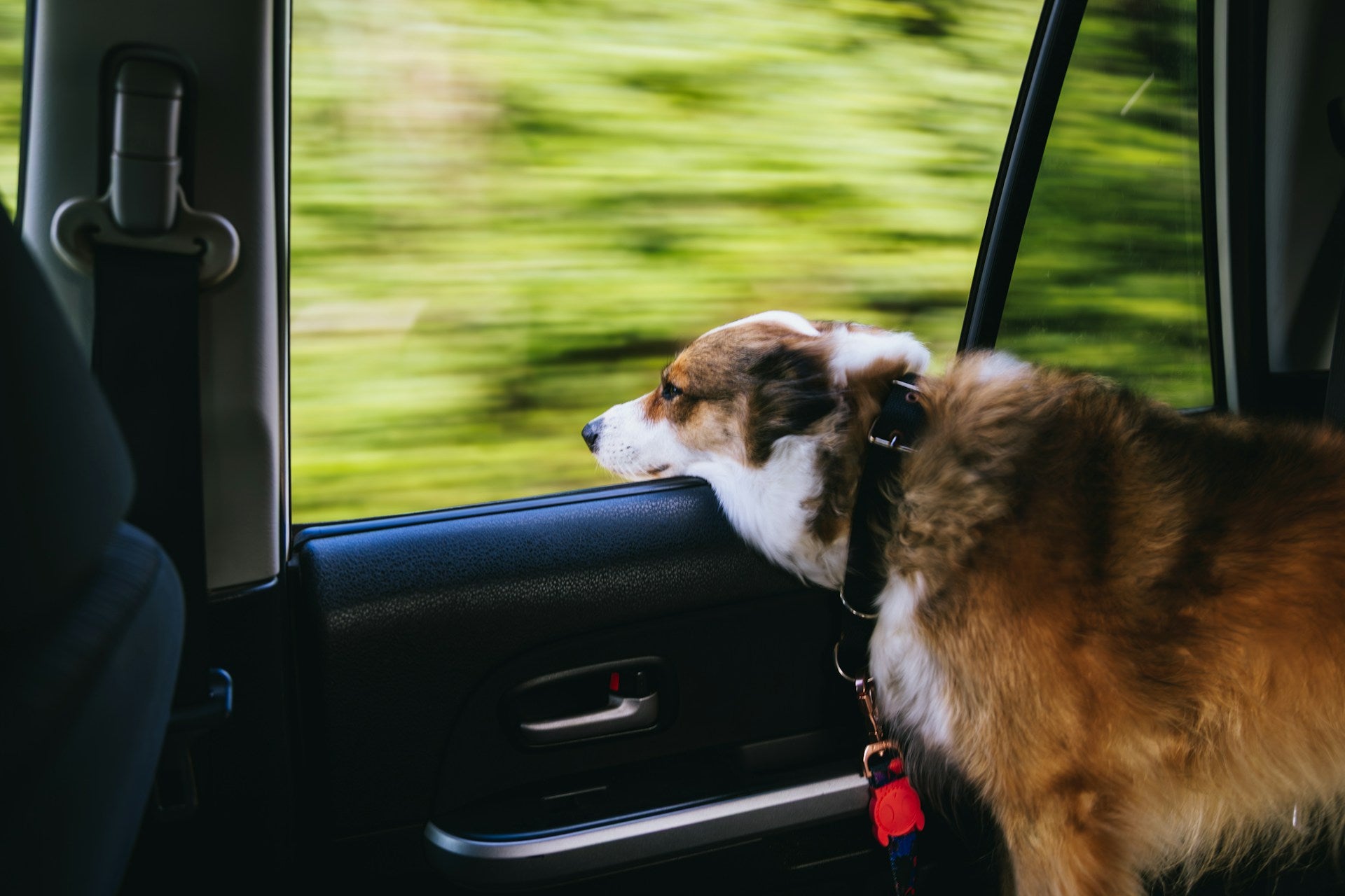 Travel & Car