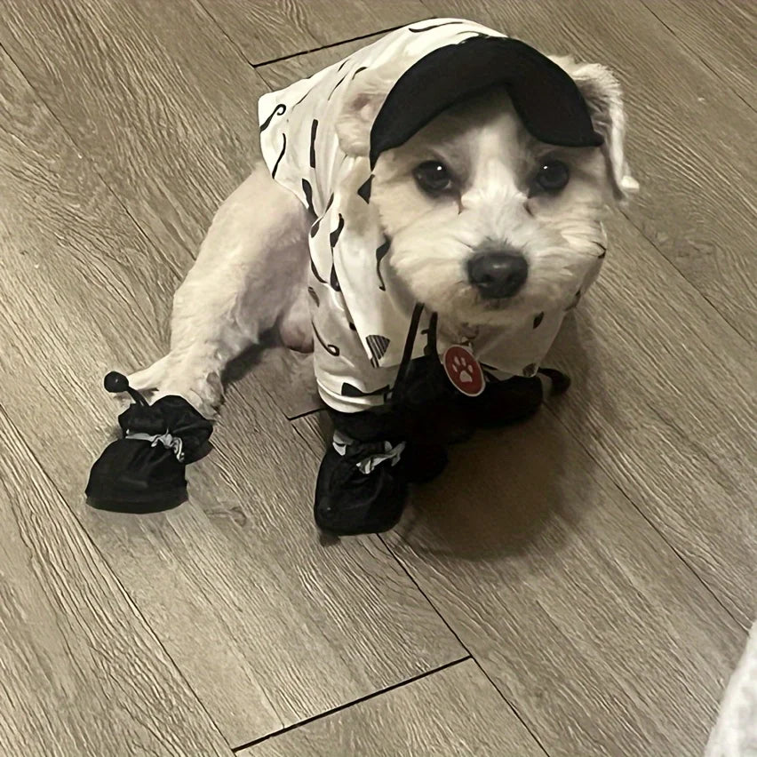 Experience the Ultimate Paw Protection