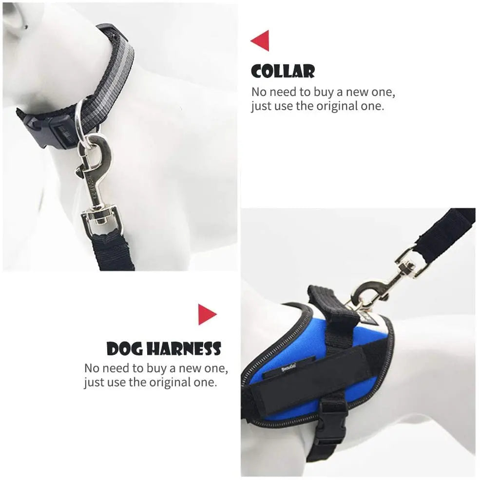Experience Unparalleled Pet Travel Safety