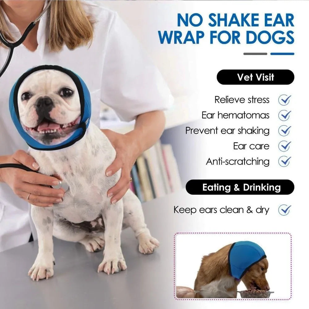 Experience Peace and Comfort with Your Pet