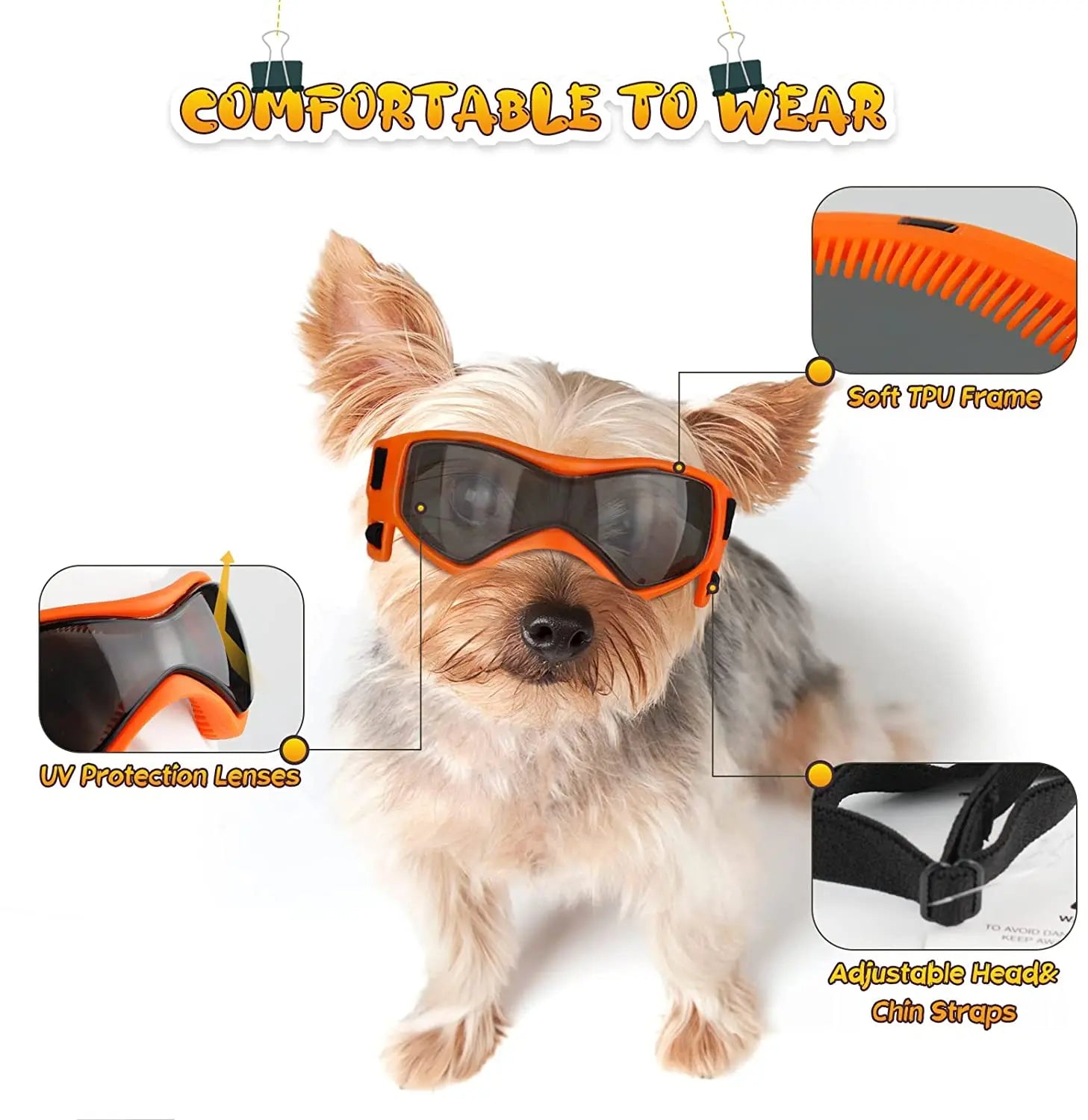 Protect Your Pet's Sensitive Eyes in Style